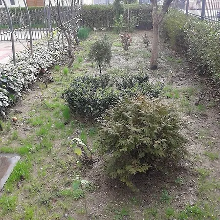 شقة Vila Jasmina بودغوريتْسا